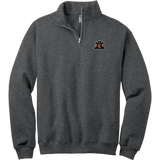 Biggby Bandits NuBlend 1/4-Zip Cadet Collar Sweatshirt