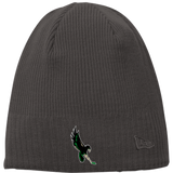 Wilmington Nighthawks New Era Knit Beanie