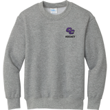 Curry College Youth Core Fleece Crewneck Sweatshirt