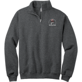 Phila Revolution NuBlend 1/4-Zip Cadet Collar Sweatshirt